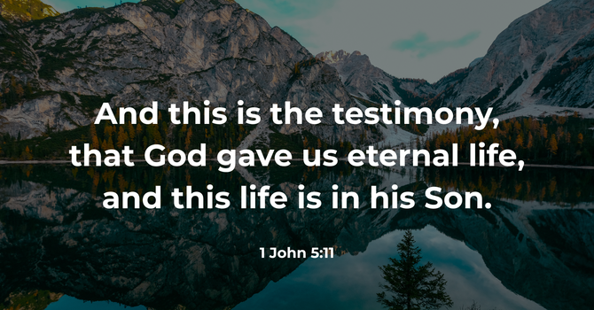 1 John 5:11 image