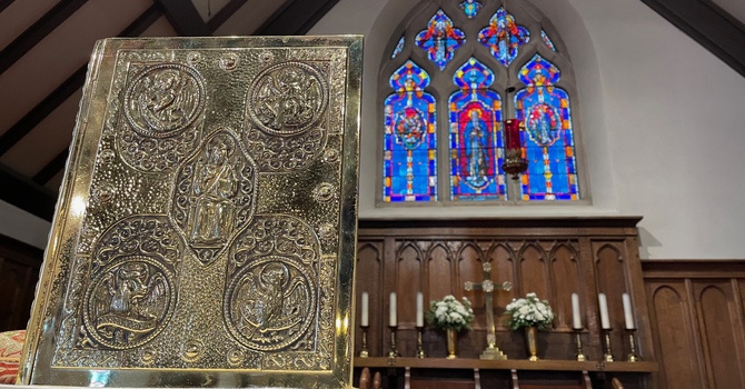 8:00 am Bulletin for      January 18, 2026 image