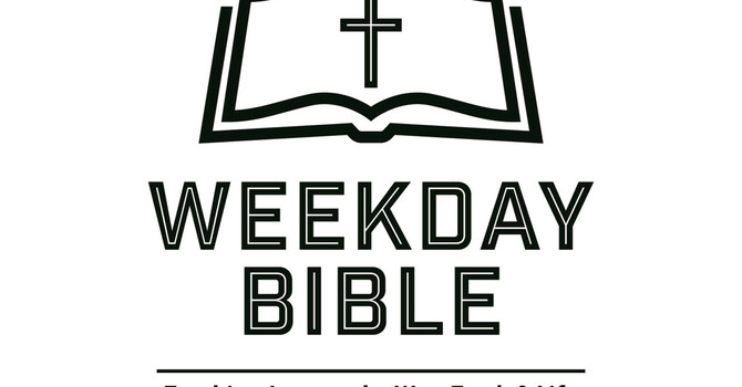 Lunch Fundraiser image