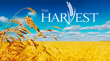 The Harvest