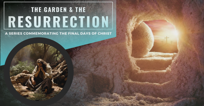 Reflections from the Garden