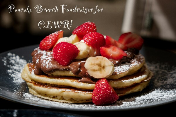 Pancakes for a Purpose