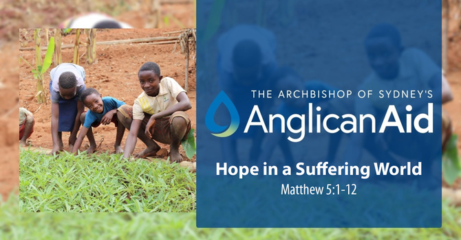 Hope in a Suffering World