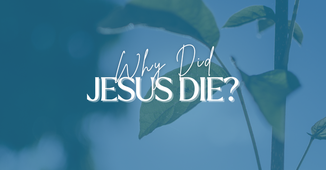 Invitation Sunday:  Why Did Jesus Die?