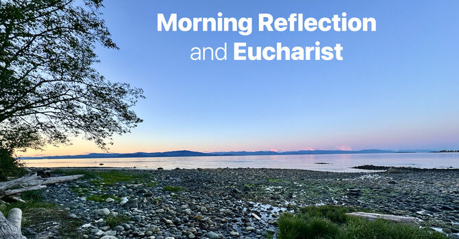 Wednesday Reflection