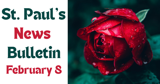 February 8 News Bulletin