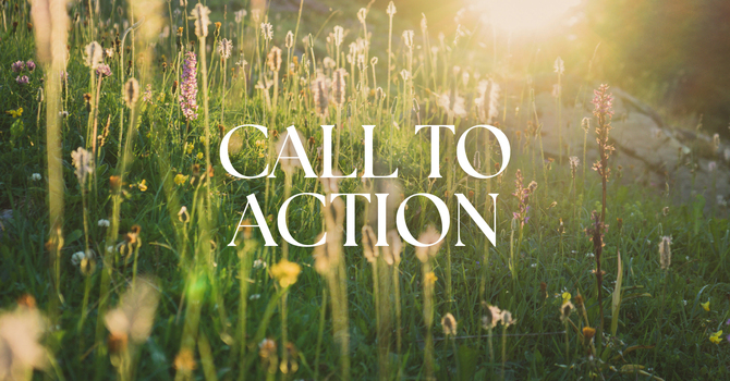 Call to Action
