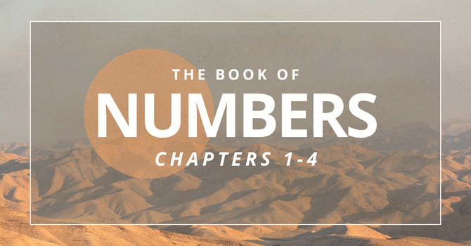 A Nation in the Wilderness