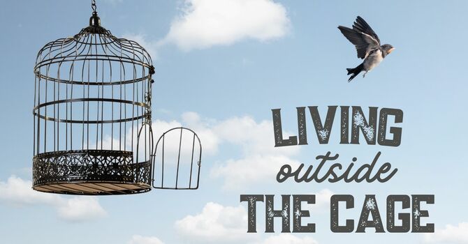 Living Outside the Cage