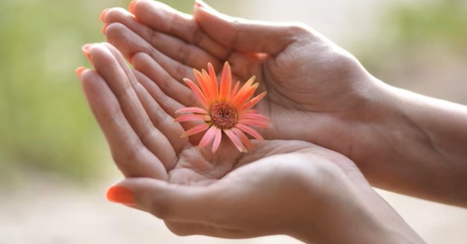 Lenten Soup and Study Program