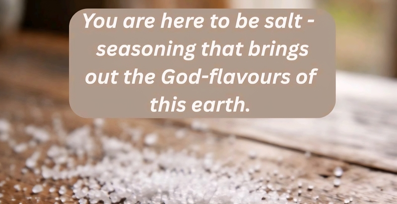 5th Sunday after the Epiphany