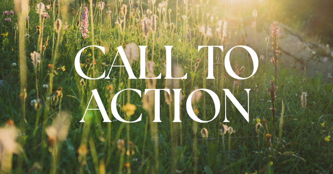 Glory Revealed  image