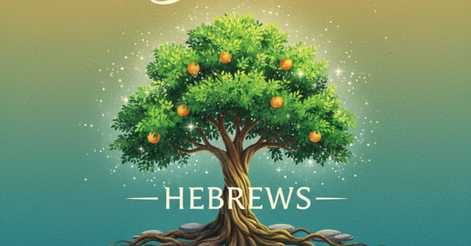 God's Game Plan for Your Life