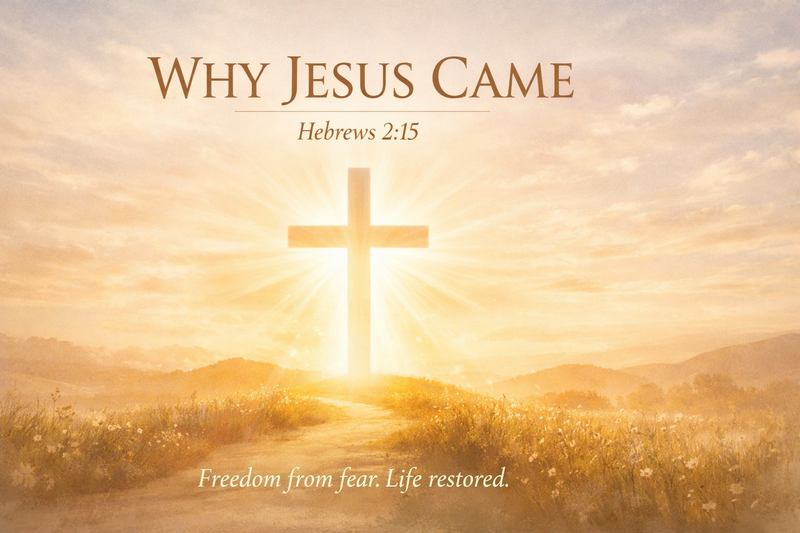 Why Jesus Came 