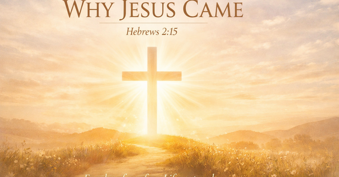 Why Jesus Came 