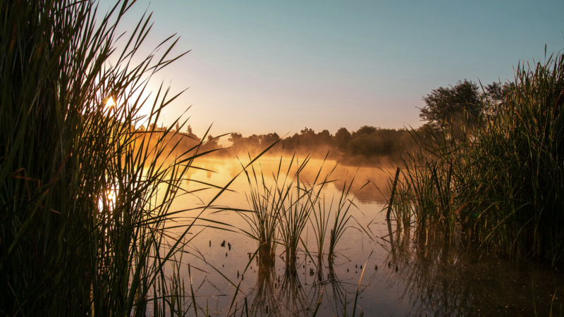 You Are to Cross the Jordan Today