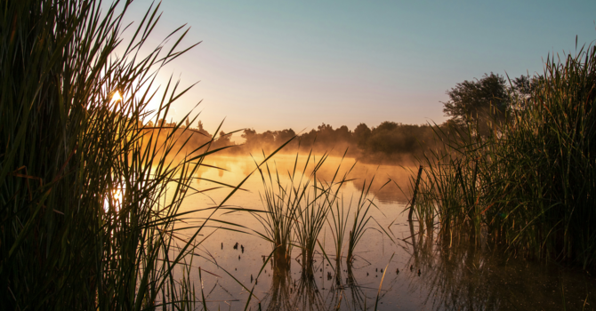 You Are to Cross the Jordan Today