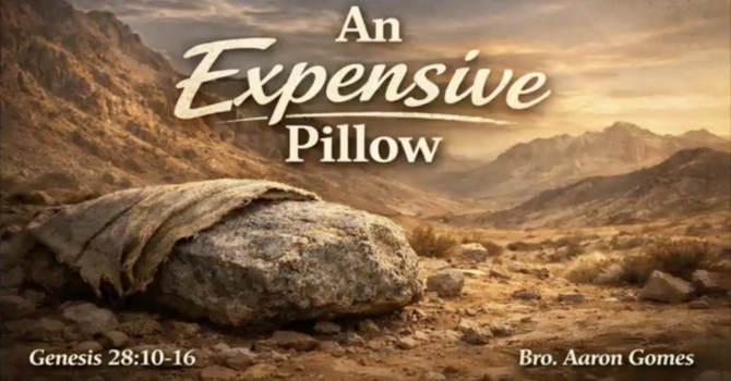 "An Expensive Pillow"