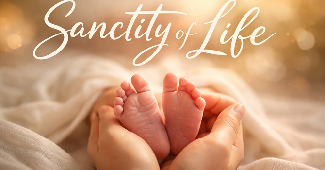 The Sanctity of Life, Part 3