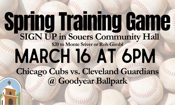 Spring Training Game