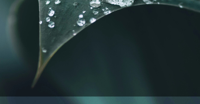 Ash Wednesday Service