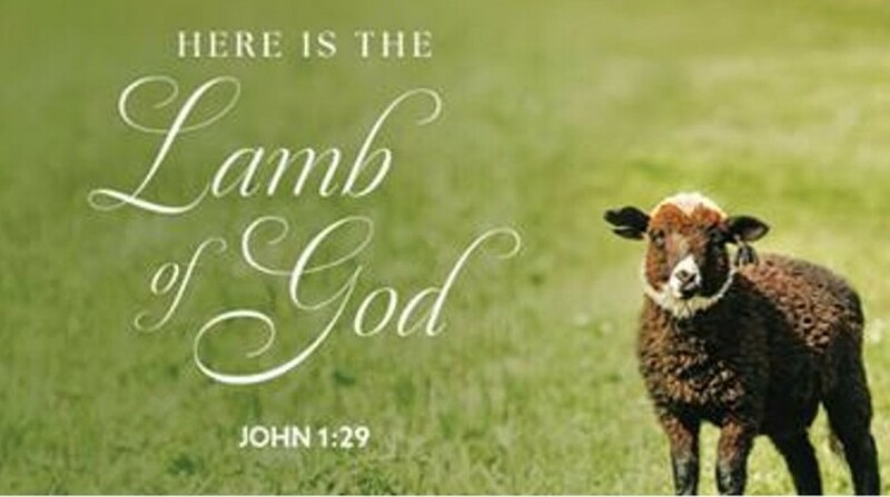 Here is the Lamb of God