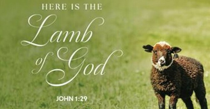 Here is the Lamb of God