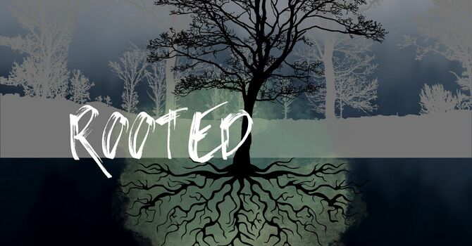 Rooted
