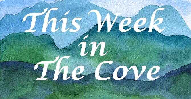 This Week in the Cove