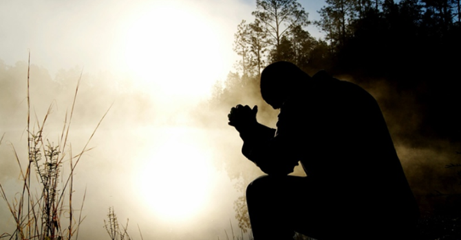 Rev. Karen's reflection for February 8th, 2026