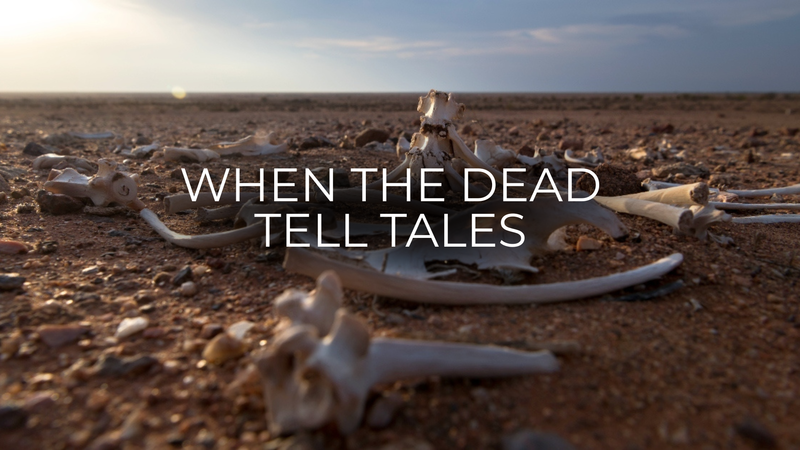 When the Dead Tell Tales