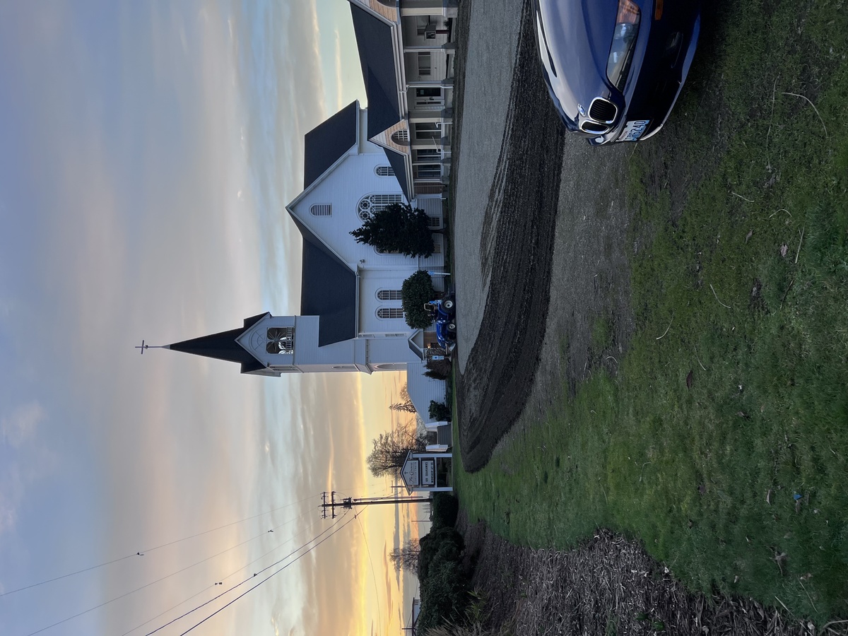 Fir - Conway Lutheran Church