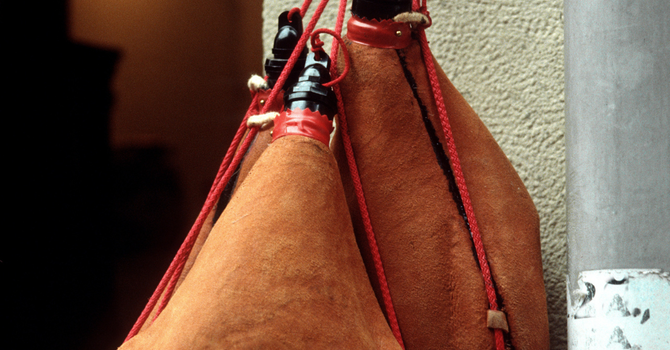 New Wine, New Wineskins