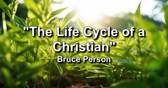 The Life Cycle of a Christian