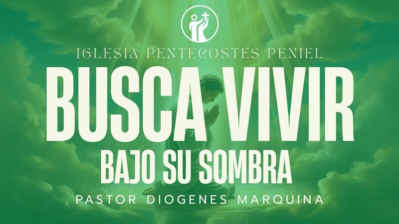 BUSCA VIVIR BAJO SU SOMBRA