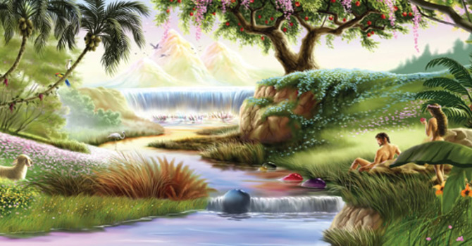 Creation: The Beginning Of Life As We know it