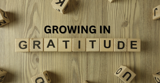 Growing in Gratitude image