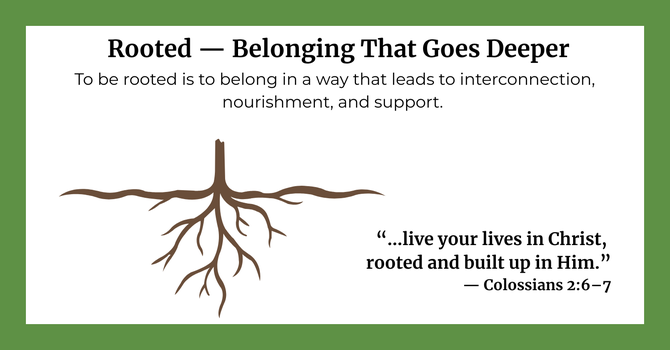 Church Values - ROOTED