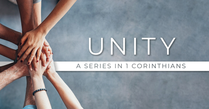 Part 1: Unity in Diversity