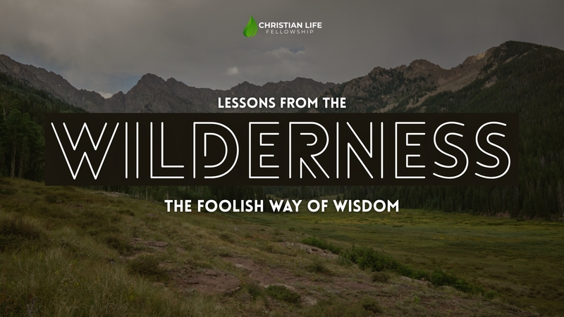 The Foolish Way of Wisdom