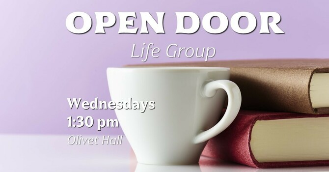 OPEN DOOR LIFE GROUP
