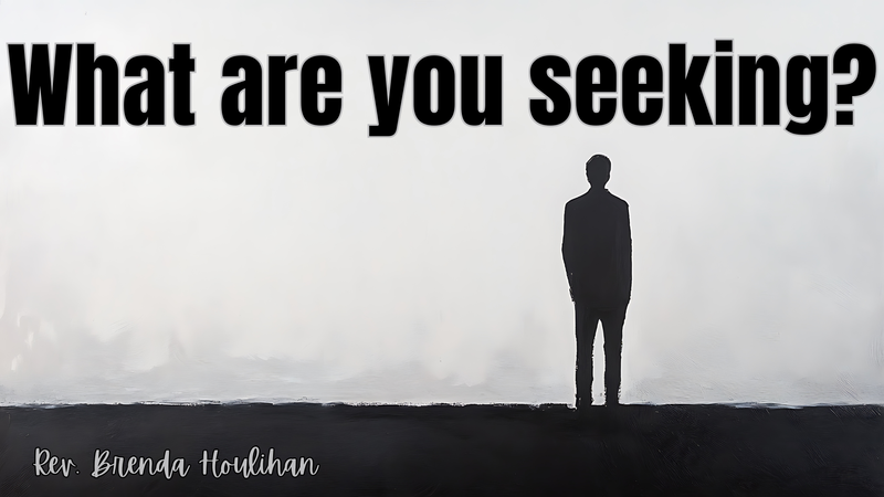 What Are You Seeking?