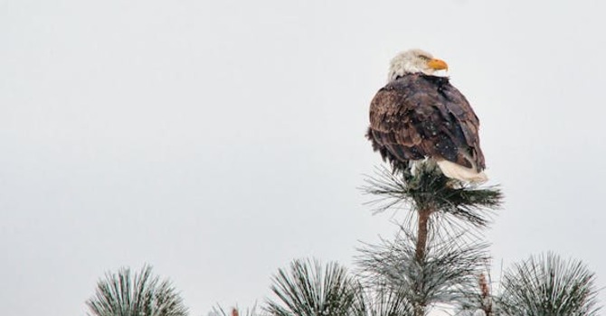 February 11, 2026 Devotion image