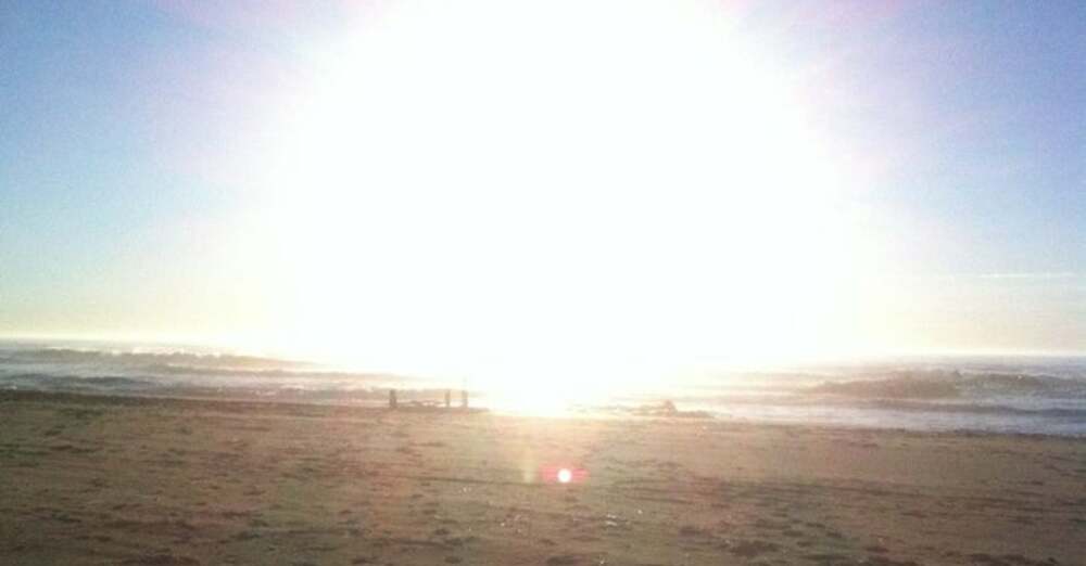 COME TO YOUR SENSES! 