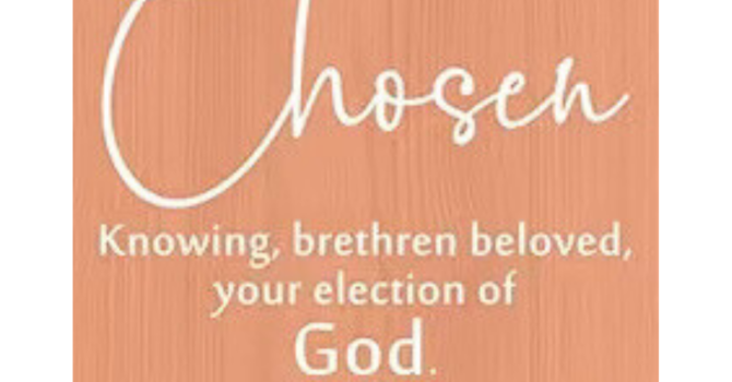 Unqualified but Chosen  image