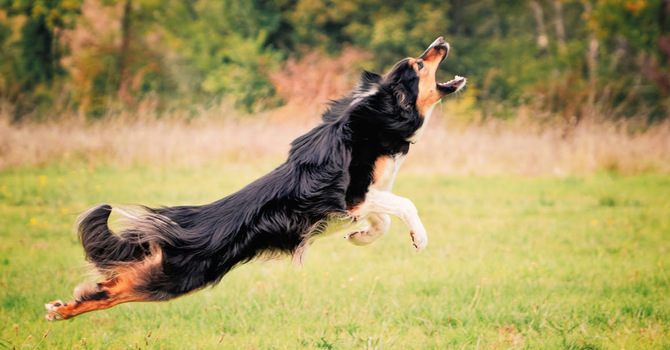 Faithfulness When It Feels Repetitive