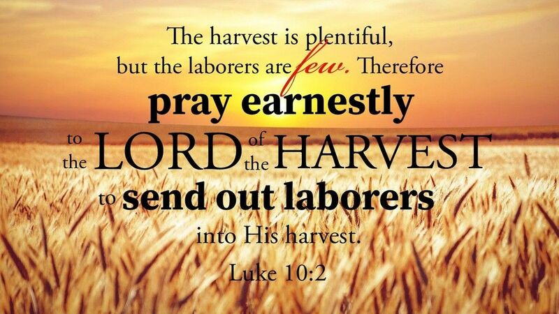 Released to Transform