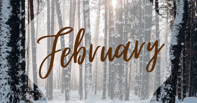 Bulletin | February 8, 2026
