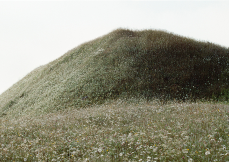 Transfiguration of Our Lord