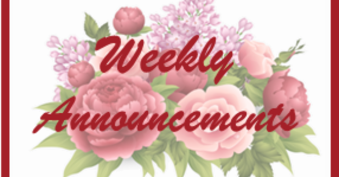 Weekly Announcements